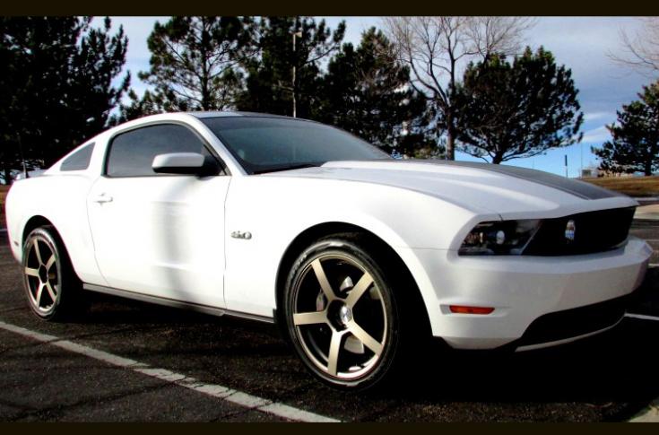 FORD MUSTANG PANORAMA RF MATTE BRONZE 3